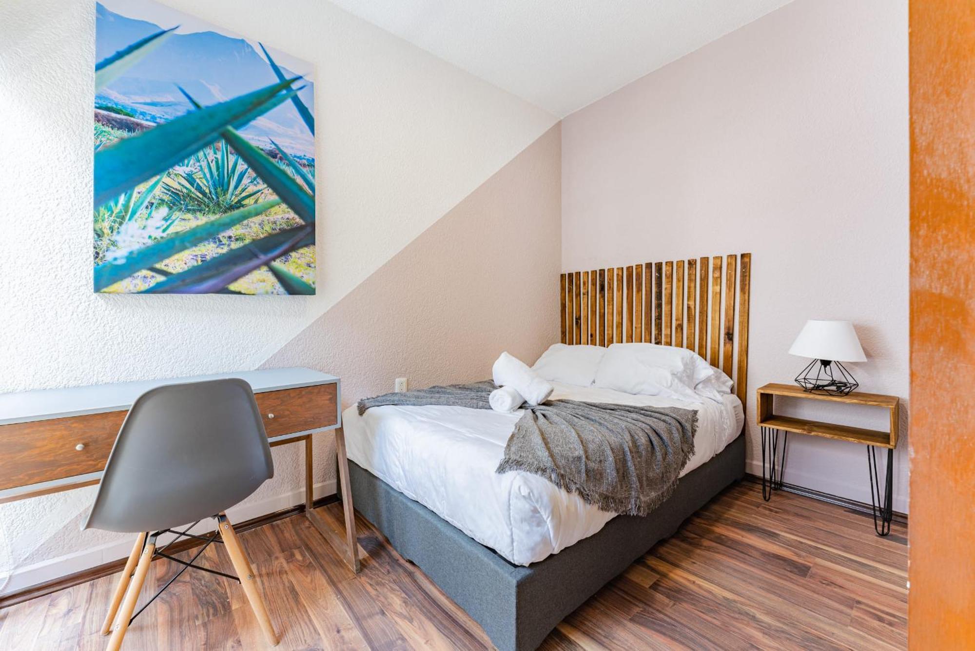 Santa Ma La Ribera Lofts By Vh Apartment Kota Meksiko Bagian luar foto